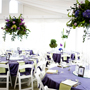 purplecenter